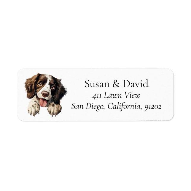 Etiqueta Inglês Springer Spaniel Dog Breed Pet Lovers (Frente)