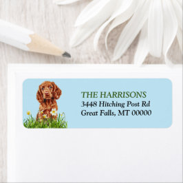 Etiqueta Irish Setter Puppy Daffodil Garden Endereço de dev