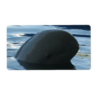 Etiqueta Irrawaddy Dolphin Peek-A-Boo