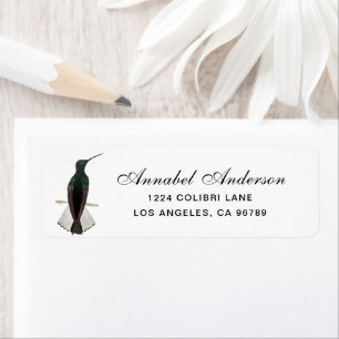 Etiqueta Jacobin Hummingbird Negro