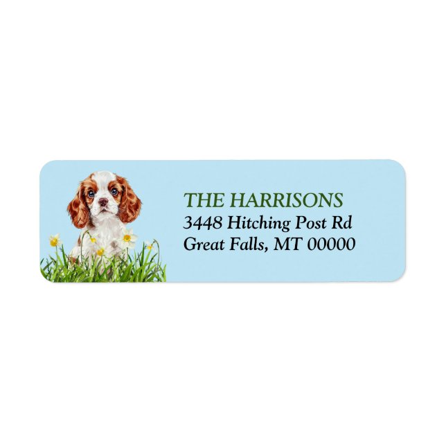 Etiqueta Jardim Cavalier King Charles Spaniel Daffodil (Frente)