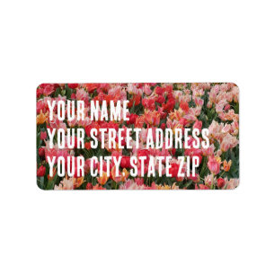 Etiqueta Jardim da Flor de Tulip Rosa Personalizado