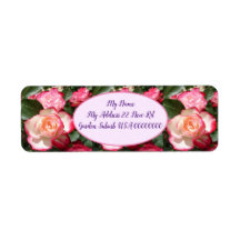 Jardim de Algodão Floral da Flor Branca do Rosa ve