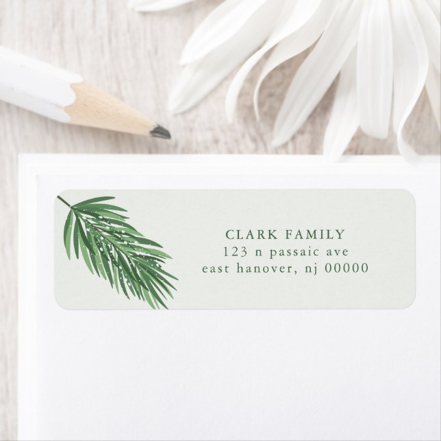 Etiqueta "Joy do Amor pela Paz" Spruce de Natal (Insitu)