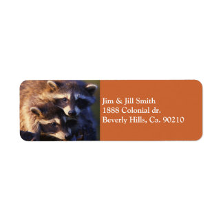 Etiqueta Juntos, Forever Raccoons