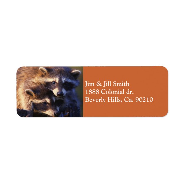 Etiqueta Juntos, Forever Raccoons (Frente)