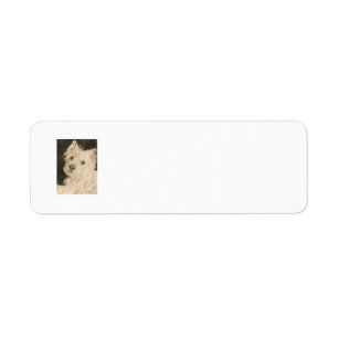 Etiqueta Kiltie as montanhas Terrier branco ocidentais