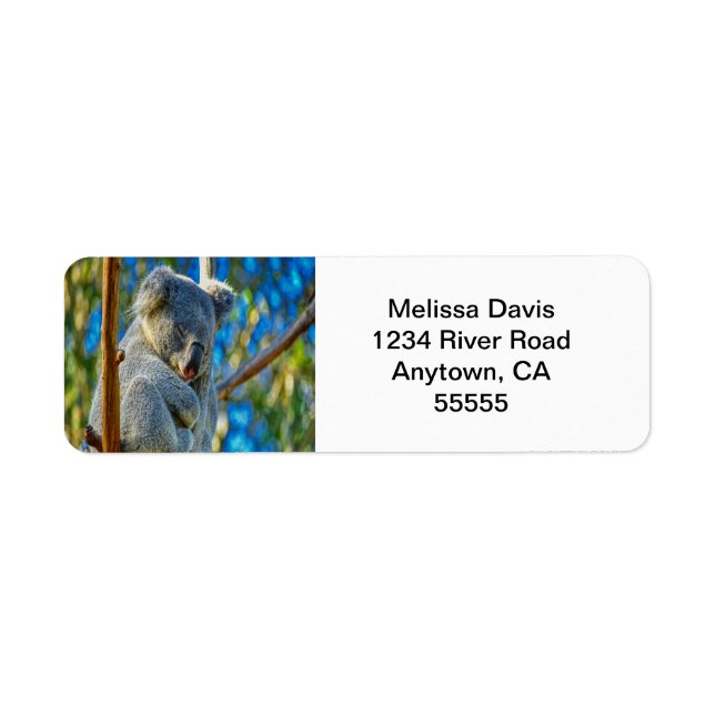 Etiqueta Koala Love Address Labels (Frente)