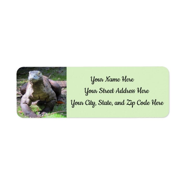 Etiqueta Komodo Dragon Address Labels (T-Fill) (Frente)