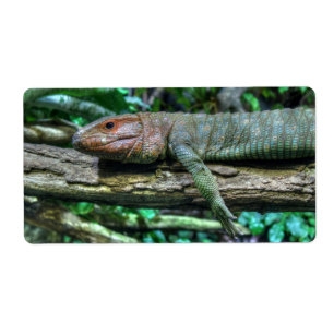 Etiqueta Krokodilteju