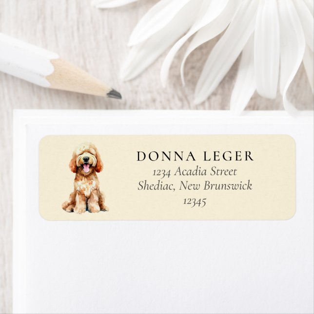 Etiqueta Labradoodle Goldendoodle Endereço do Cão (Insitu)