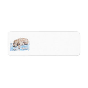 Etiqueta Labradoodle Napping