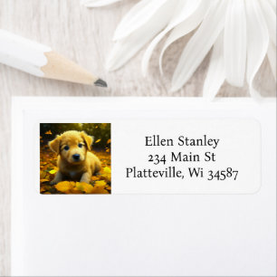Etiqueta Labrador Amarelo Brincando em Folhas de outono