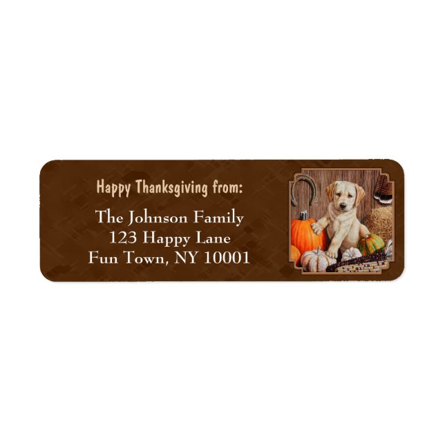 Etiqueta Labrador Retriever Dog & Pumpkins Brown (Frente)