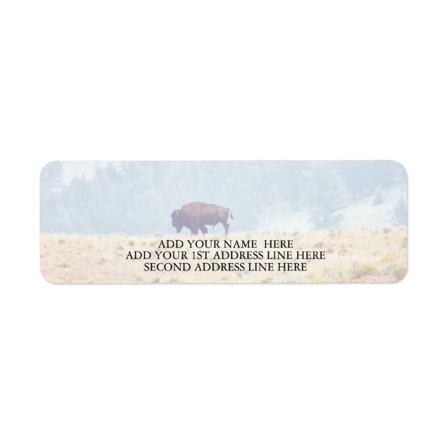 Etiqueta Lamar (Frente)