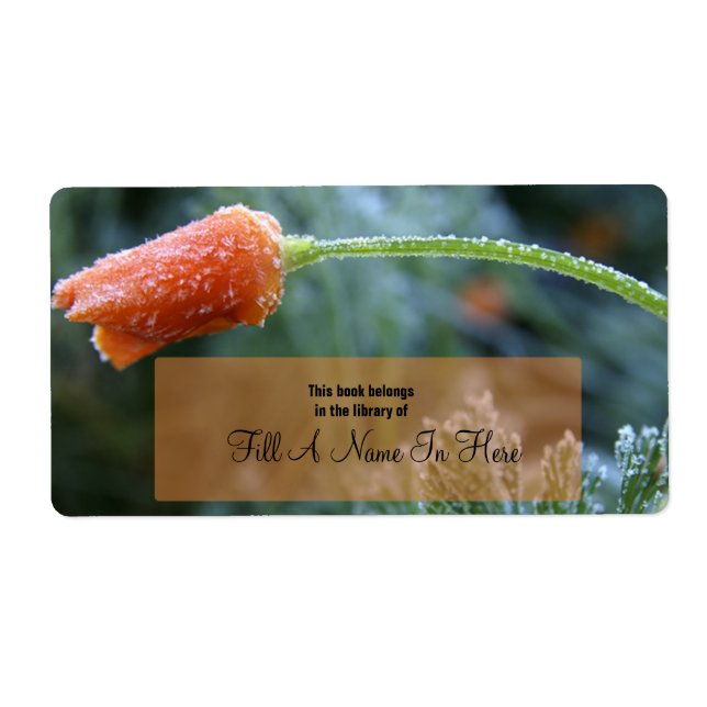 Etiqueta Laranja-Fosco--de-cor (Frente)