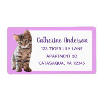 Lavanda Gato Gato-Gato-Gato-Gato Grande