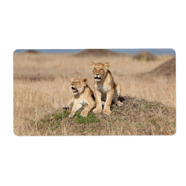 Etiqueta Leões jovens (Frente)