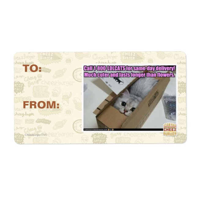 Etiqueta Ligue para 1-800-LOLCATS (Frente)