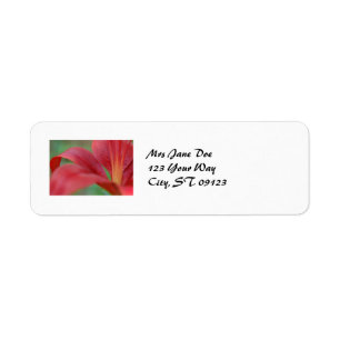 Etiqueta Lily Label