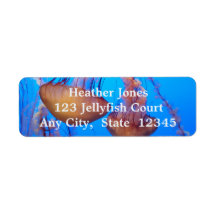 Lindos rótulos de água-viva