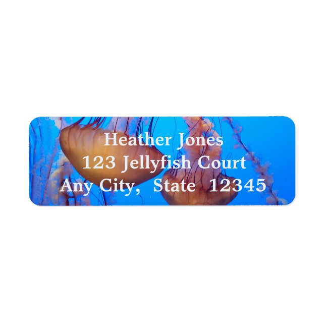 Etiqueta Lindos rótulos de água-viva (Frente)