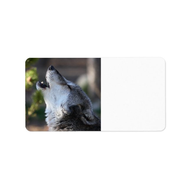 Etiqueta lobo (Frente)