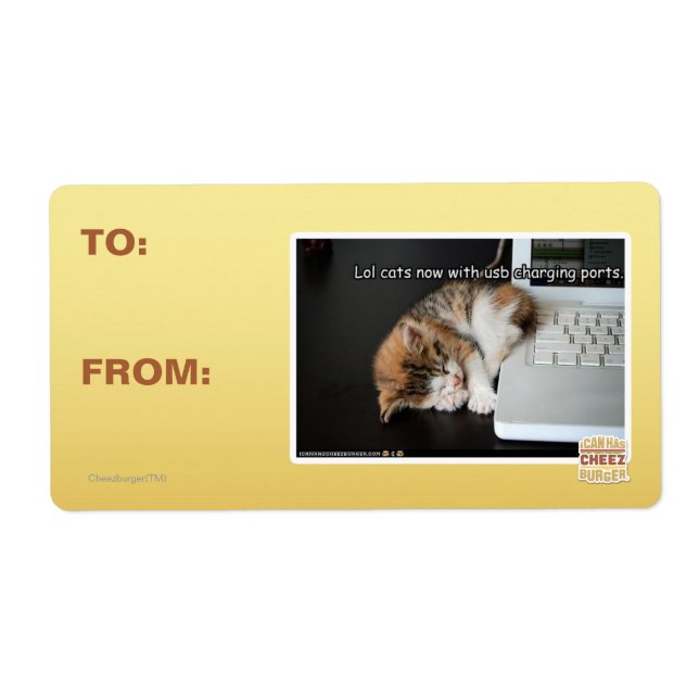 Etiqueta Lol cats com USB (Frente)