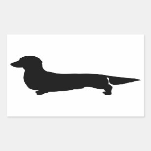 Etiqueta longa do retângulo do Dachshund do cabel