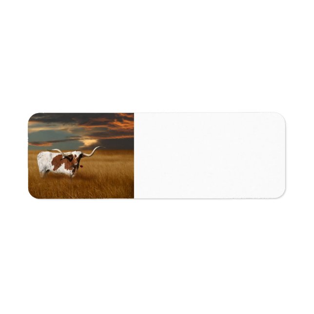 Etiqueta Longhorn (Frente)