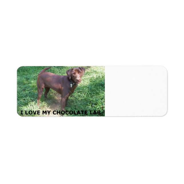 Etiqueta LR chocolate lab love with picture (Frente)
