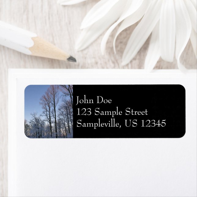 Etiqueta Luz I da Manhã de inverno (Insitu)