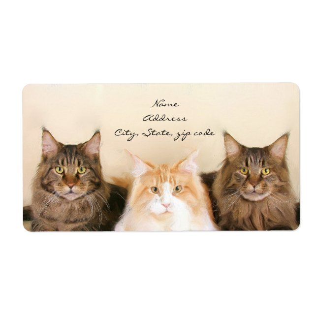 Etiqueta Maine Coon Cats Shipping Labels (Frente)
