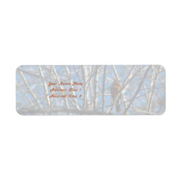 Etiqueta Mais alto para cima