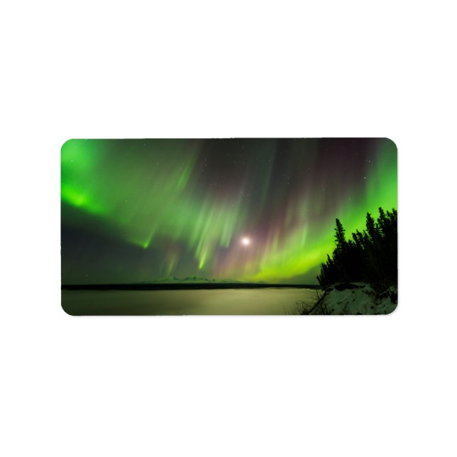 Etiqueta Majexpressa (Frente)