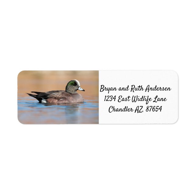Etiqueta Male American Wigeon (Frente)