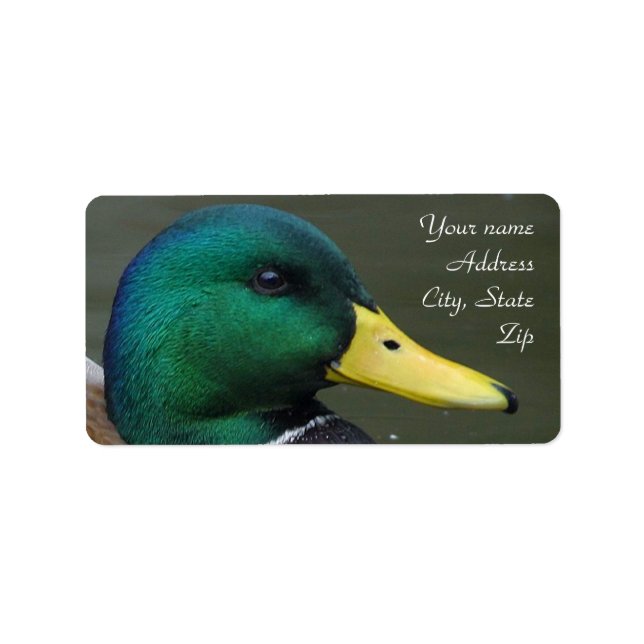 Etiqueta Mallard Duck (Frente)