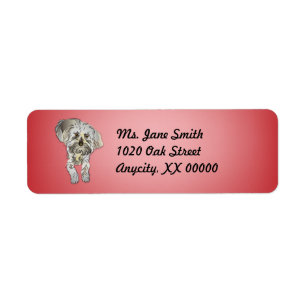 Etiqueta Maltipoo Puppy a rosa