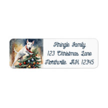 Maravilhosa, Bull Terrier Return Address