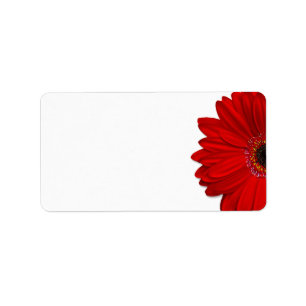Etiqueta Margarida vermelha do Gerbera que Wedding a