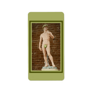 ETIQUETA MICHELANGELO DAVID COM FOLHA DE FIG