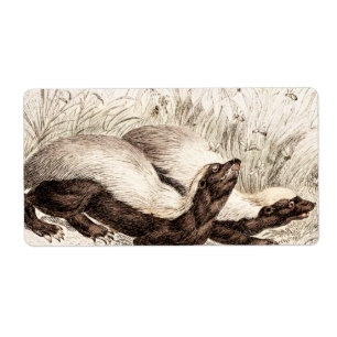 Etiqueta Modelo da colmeia da abelha do texugo de mel dos