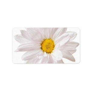 Etiqueta Modelo Flores Brancas das Margaridas