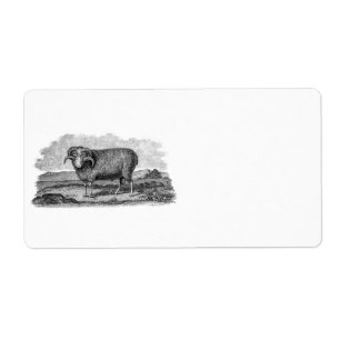 Etiqueta Modelo Merino Sheep Ram Lamb, 1800s