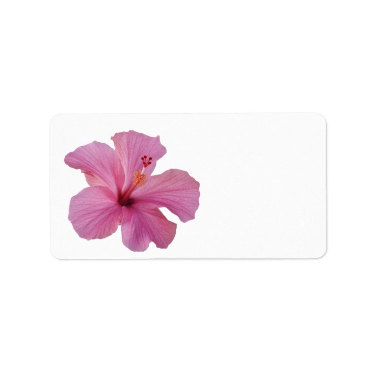 Etiqueta Modelo personalizado do hibiscus flor havaiana | Zazzle.com.br