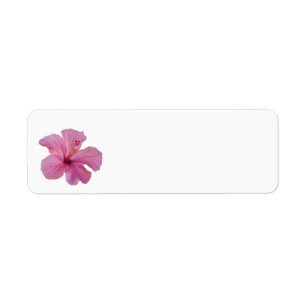 Etiqueta Modelo personalizado do hibiscus flor havaiana
