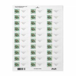 Etiqueta Modern Minimalist Emerald White Address Label