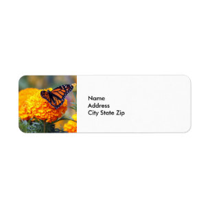 Etiqueta Monarch Butterfly Marigold Foto