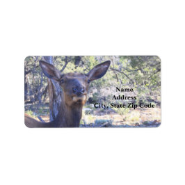 Etiqueta Moose Address Labels