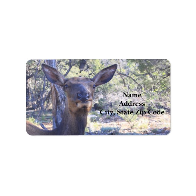Etiqueta Moose Address Labels (Frente)